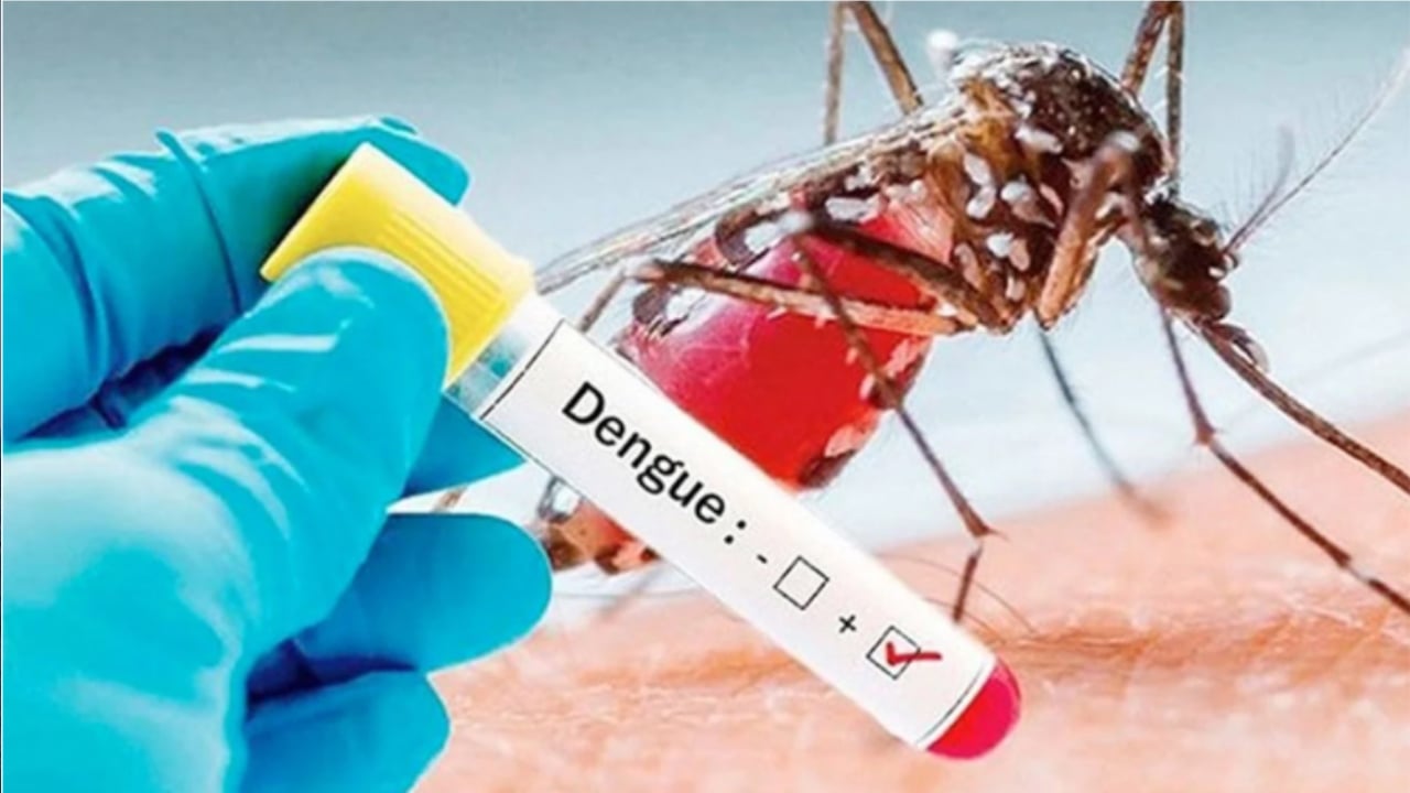 ডেঙ্গুতে একদিনে ৩ জনের মৃত্যু, আক্রান্ত ৯৯৪