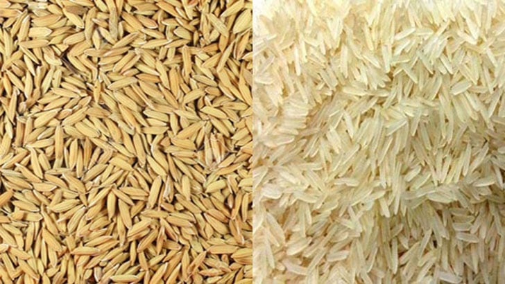 কৃষকদের কাছ থেকে ৭ লাখ টন ধান-চাল কিনবে সরকার