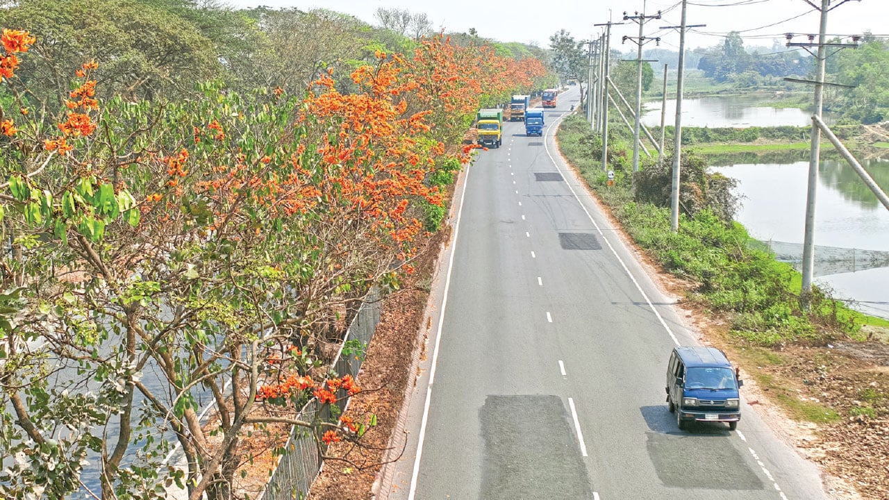 ঢাকা-চট্টগ্রাম মহাসড়ক নান্দনিক করে তুলেছে রক্তরাঙা পলাশ