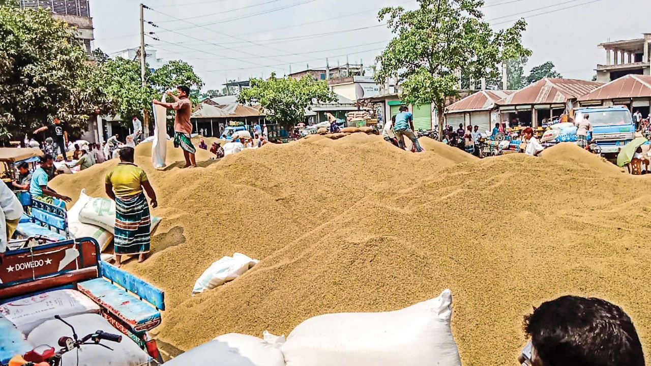ধান সংগ্রহ অভিযানে ভাটা, লক্ষ্যমাত্রা অর্জন নিয়ে শঙ্কা