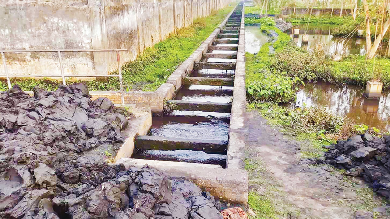 বড়পুকুরিয়া কয়লা খনির ড্রেনের ময়লাতেই জীবিকা 
