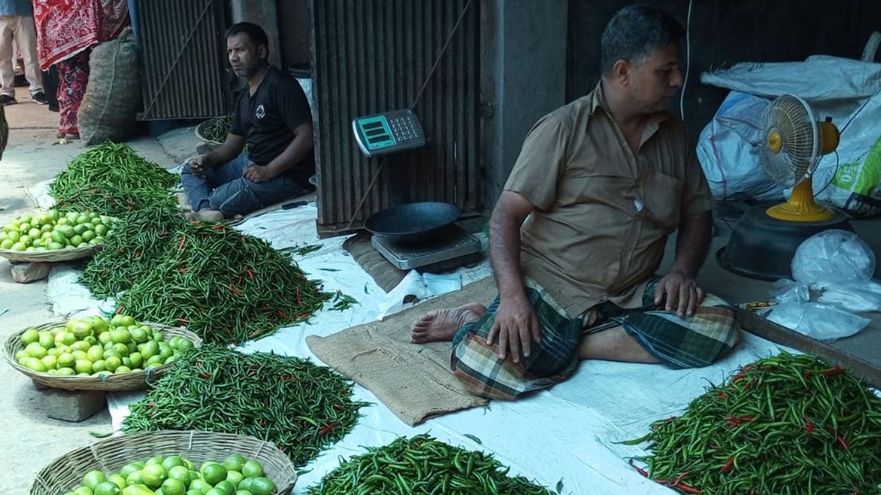 ভারত থেকে কাঁচা মরিচ আমদানি শুরু, কেজিতে কমেছে ৯০ টাকা