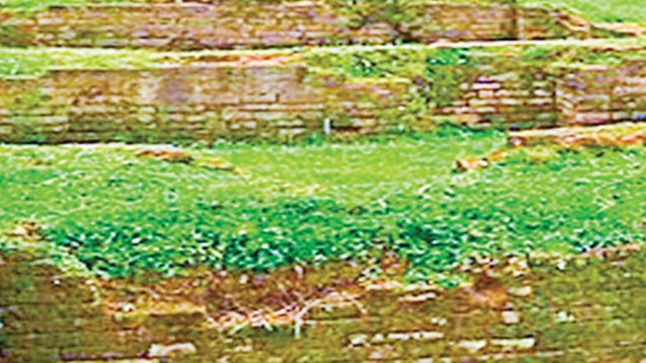 নবাবগঞ্জে প্রাচীন নিদর্শন বিলীনের পথে