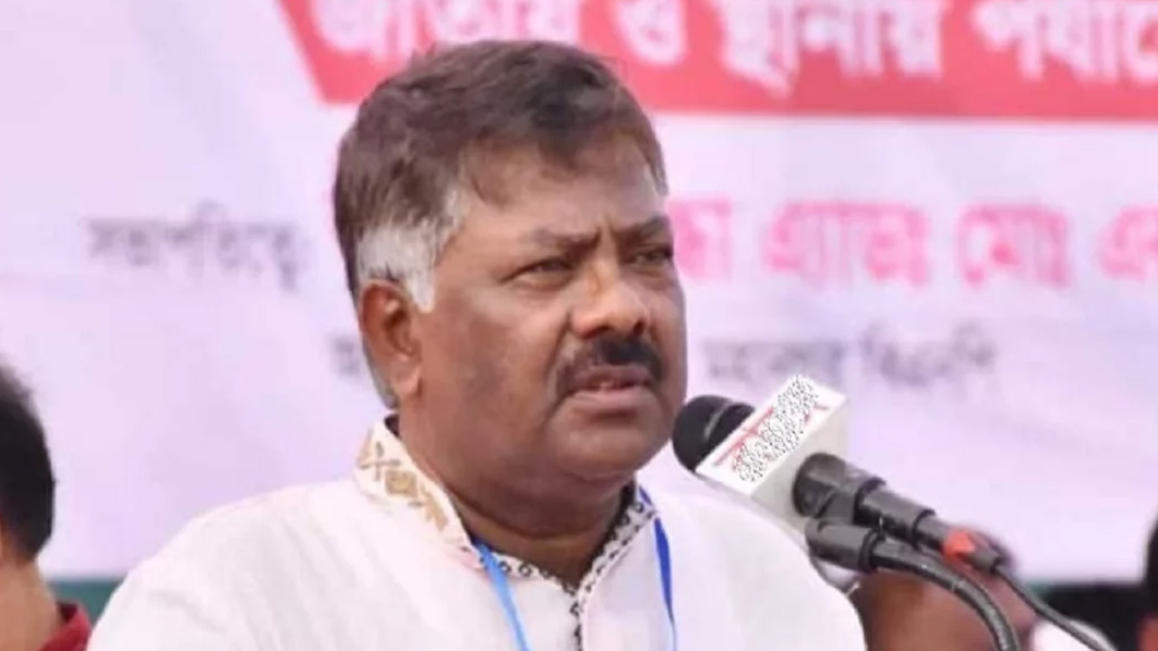 সুষ্ঠু নির্বাচন হলে বিএনপি ২০০ এর বেশি আসন পাবে: দুলু