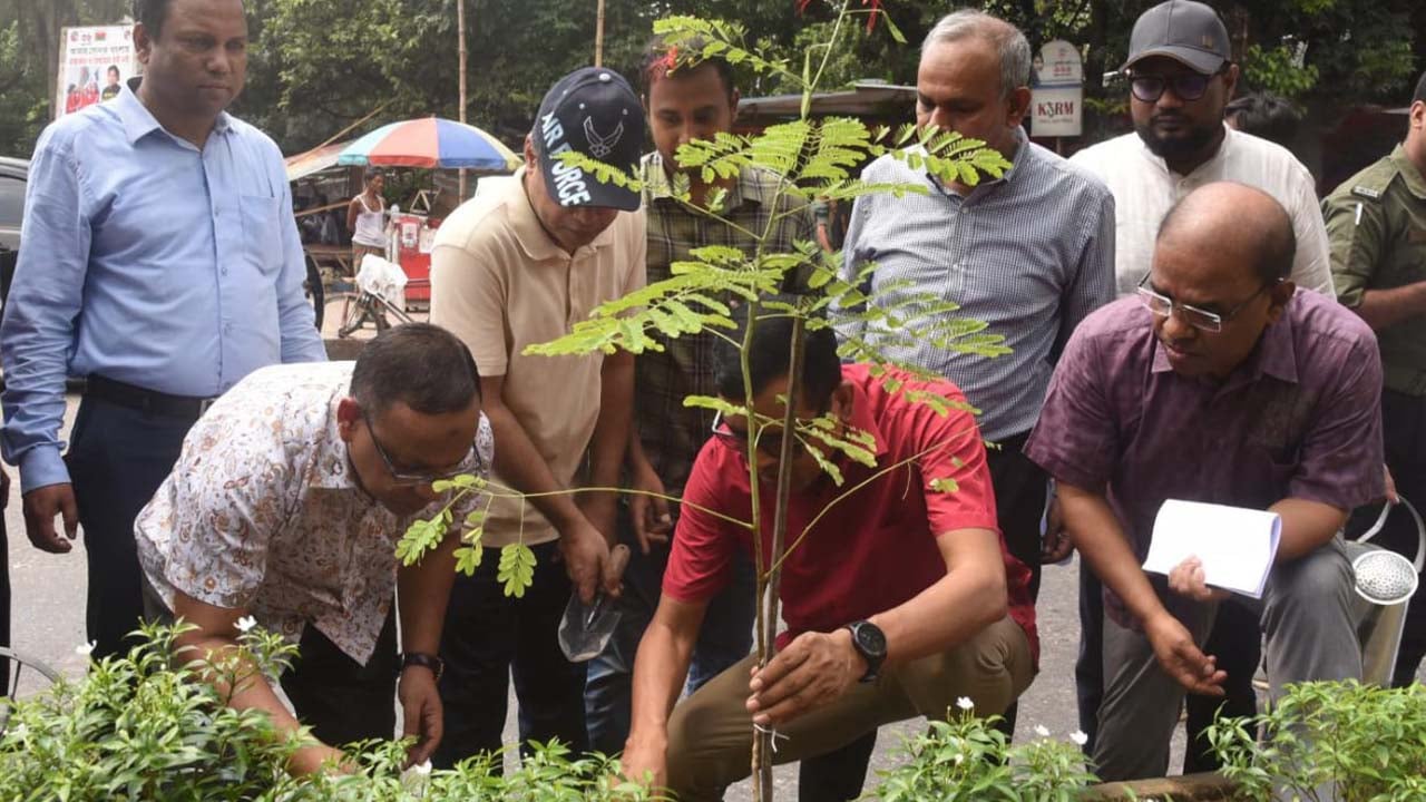 ৩১ কি. মি. সড়কে বৃক্ষরোপণ ও সবুজায়নের উদ্বোধন