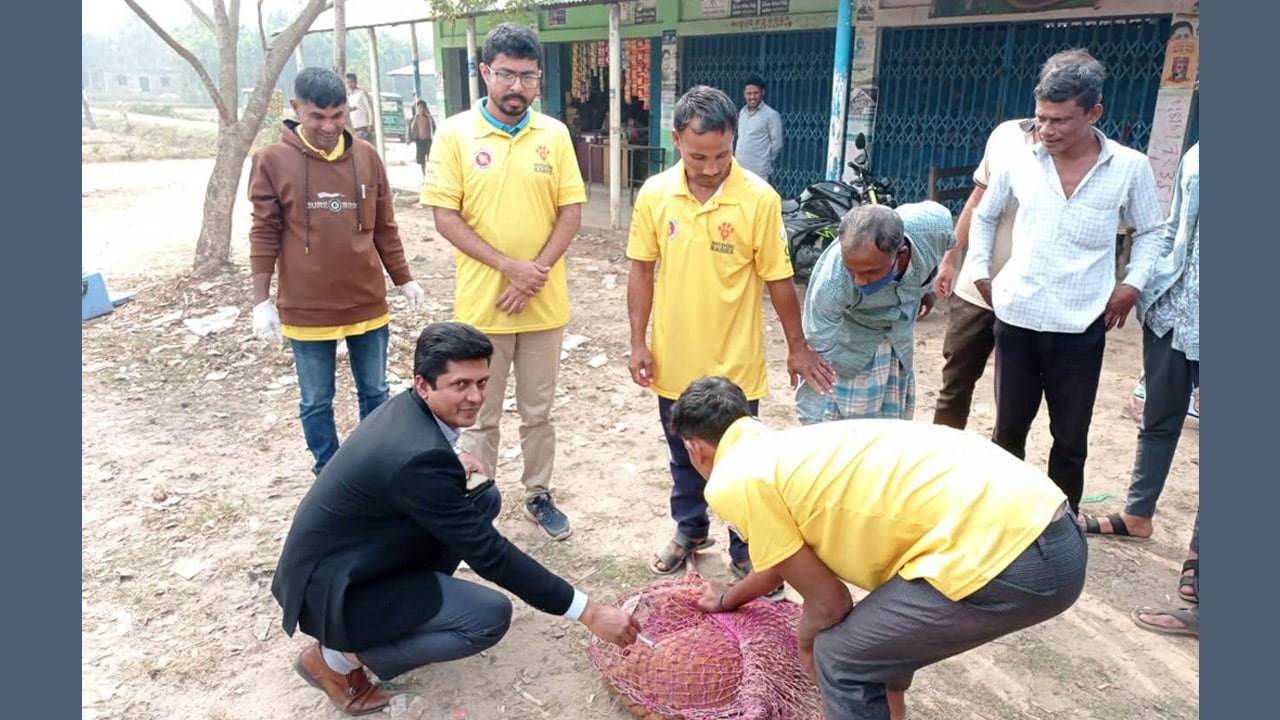 উখিয়ায় জলাতঙ্ক নির্মূলে ৪ হাজার কুকুরকে টিকা