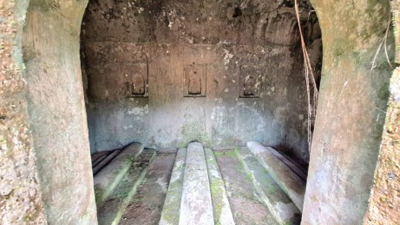 ডপ