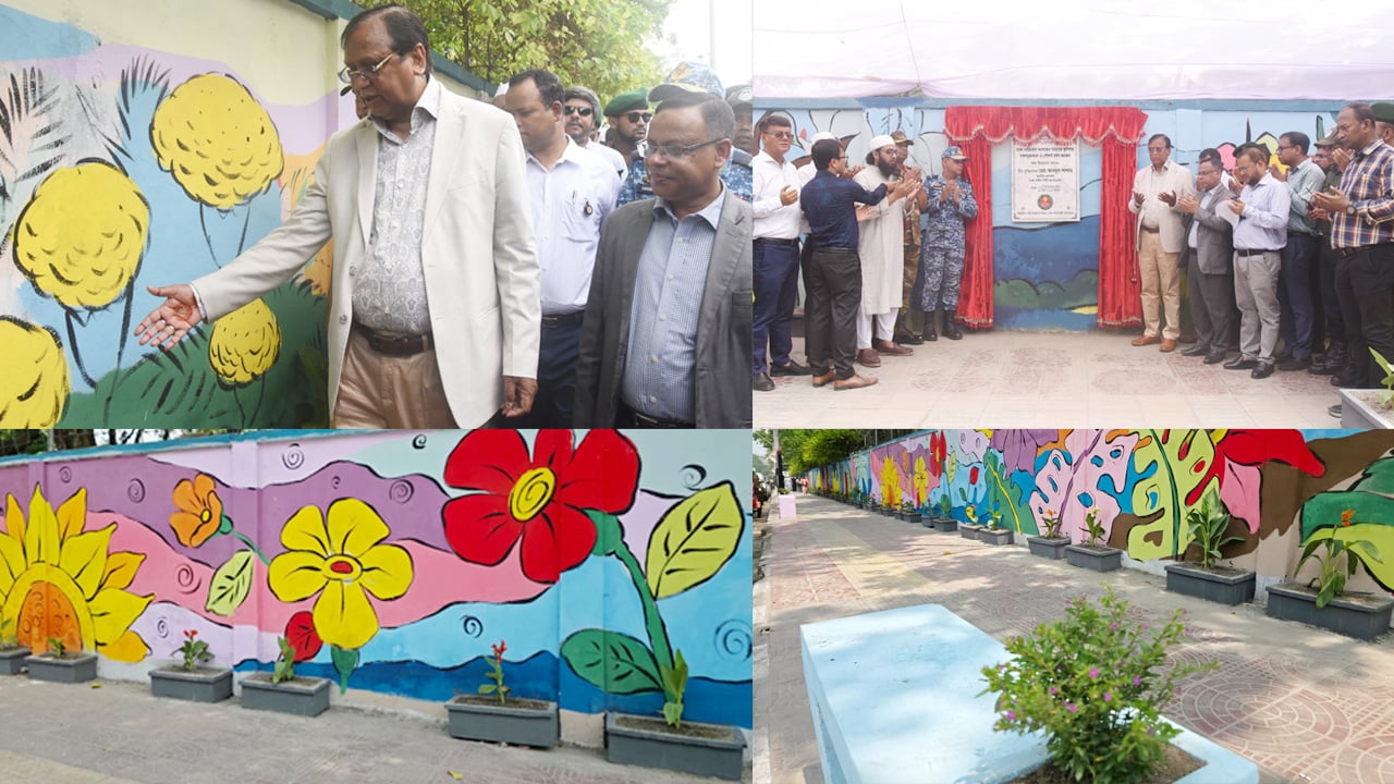 সারি সারি ফুলের টব, সৌন্দর্যবর্ধক গাছ এবং দেয়ালজুড়ে বৈচিত্র্যময় গ্রাফিতিতে বদলে গেছে পুরো এলাকা। ছবি: সংগৃহীত