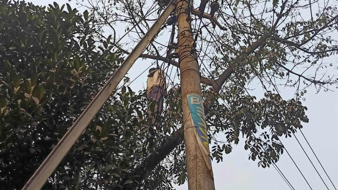 ঢাবিতে যুবকের ঝুলন্ত লাশ উদ্ধার