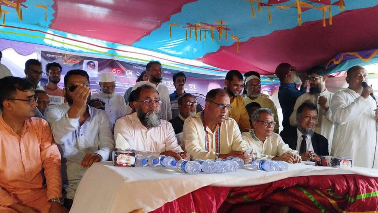 সংস্কারের নামে উন্নয়নের ছবক শোনাচ্ছে সরকার: দুদু