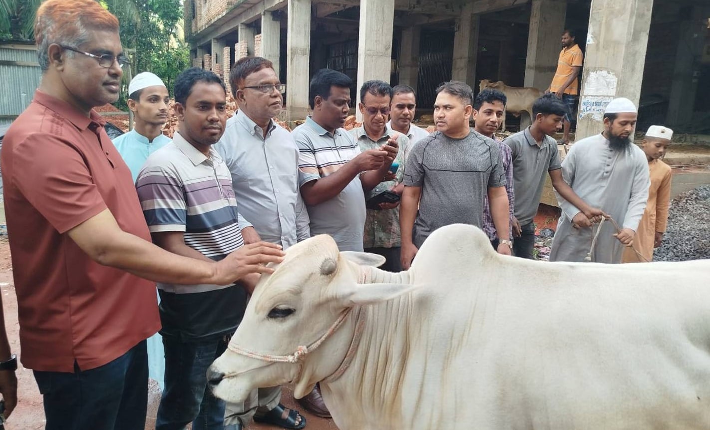 এতিম ও অসহায়দের জন্য মন্ত্রী আব্দুল আউয়াল মিন্টুর ৮ গরু বিতরণ