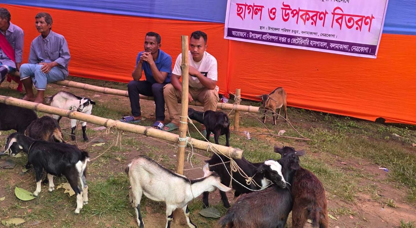 আমার দেশ-এ সংবাদ প্রকাশের পর সাময়িক বরখাস্ত ১, বদলি ১১