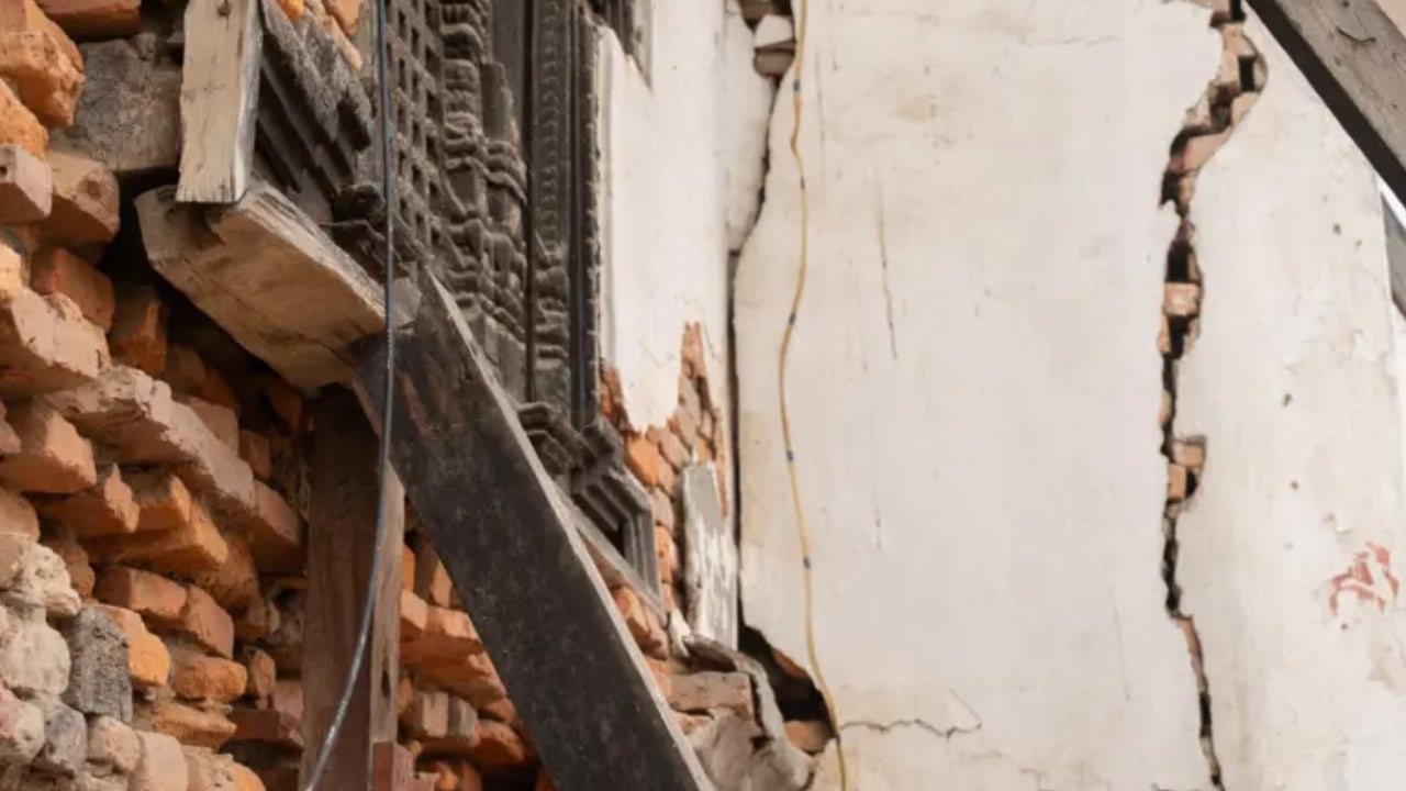 কেন কিছু মানুষ ভূমিকম্প টের পান না?