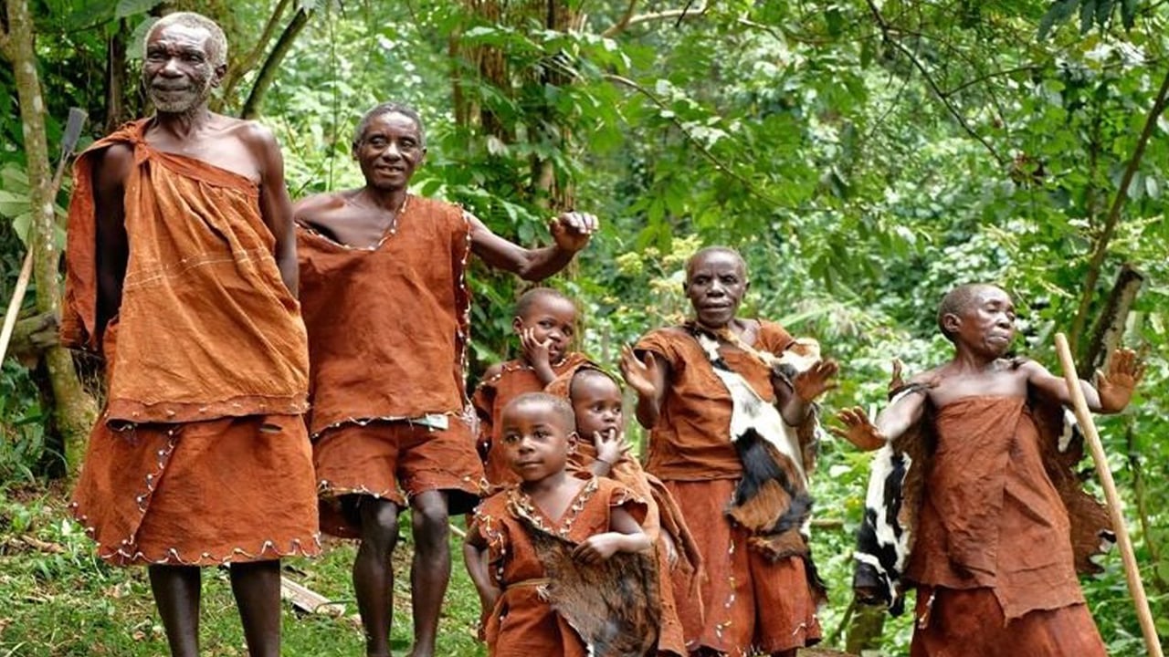 পিগমি এক বুনো জাতি