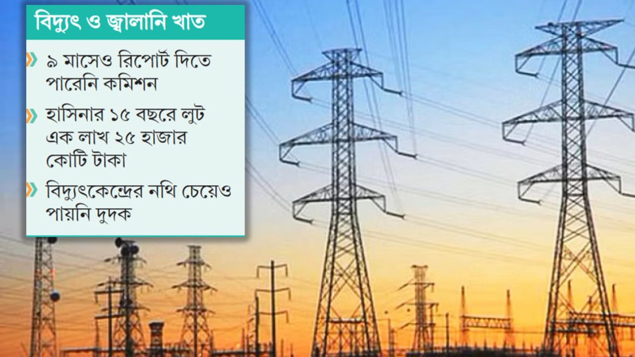 এখনো অধরা বিদ্যুতের রাঘববোয়ালরা