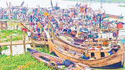 মা ইলিশ রক্ষায় ২২ দিনের নিষেধাজ্ঞা শুরু, আপৎকালীন সহায়তা নিয়ে ক্ষুব্ধ জেলেরা