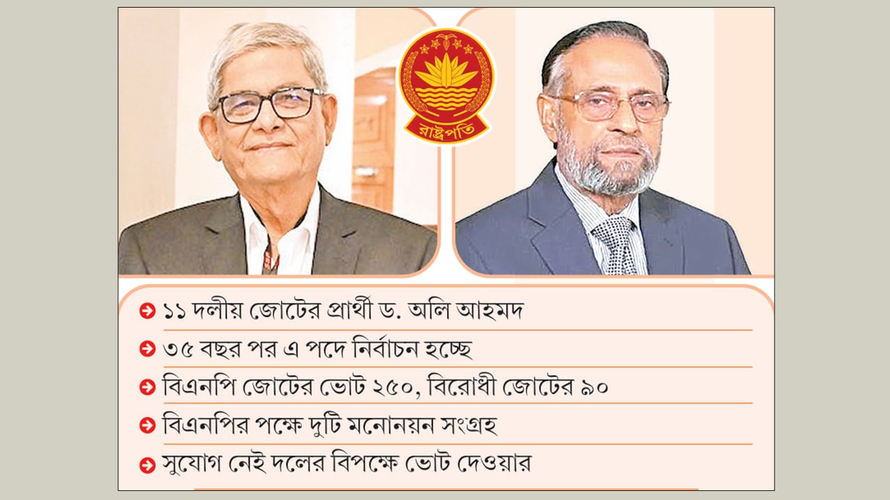 মির্জা ফখরুলই হতে পারেন রাষ্ট্রপতি