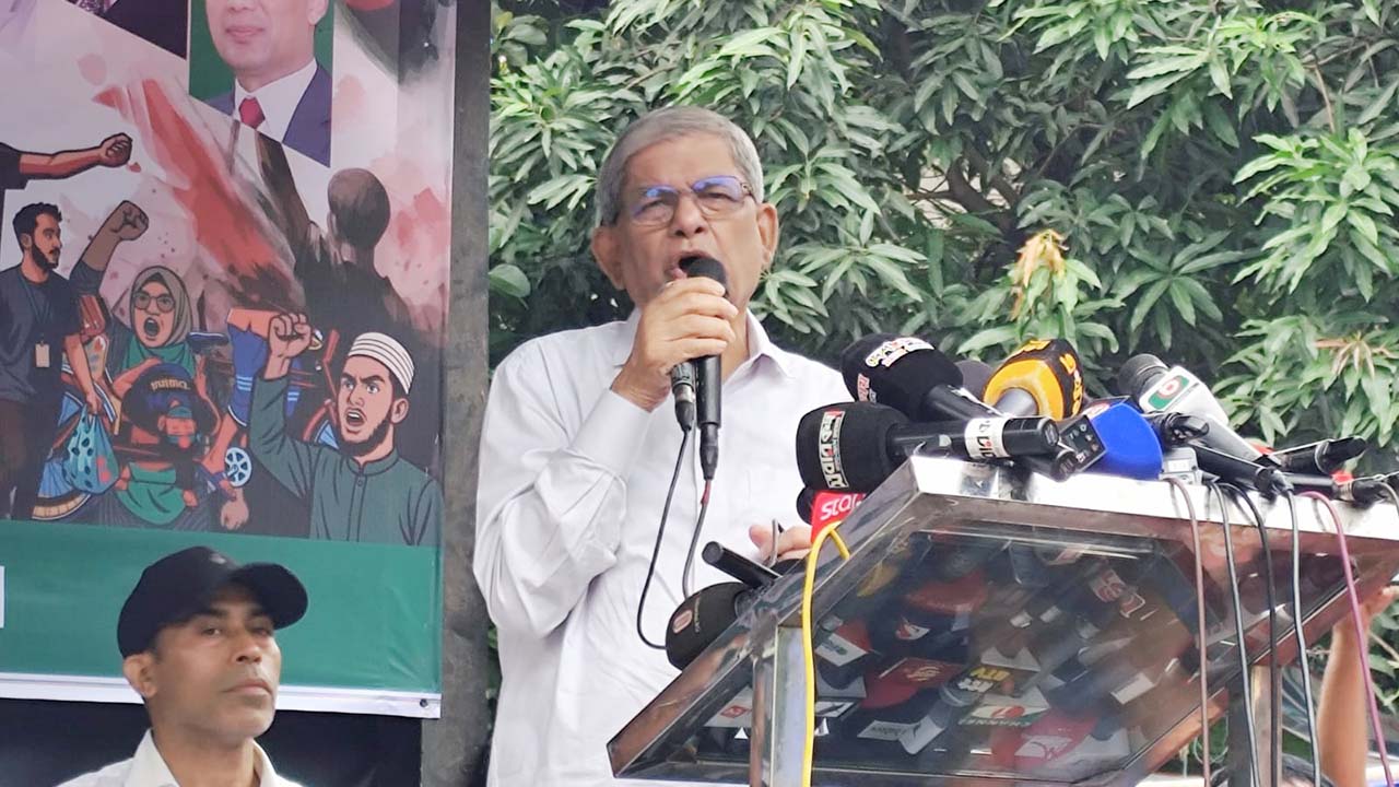 ইনডাইরেক্টলি রাজনৈতিক দলগুলোকে দোষারোপ করছে সরকার: মির্জা ফখরুল