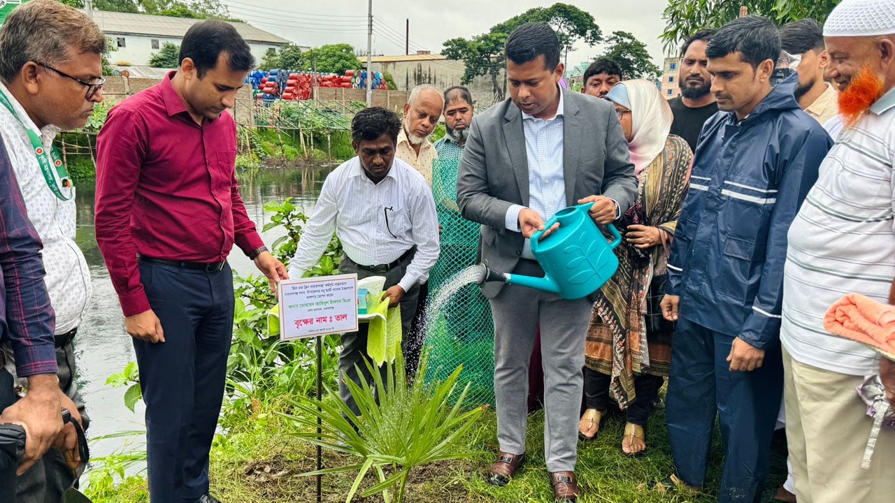 নারায়ণগঞ্জ সদর উপজেলায় ৩০০ তাল গাছের চারা রোপণ