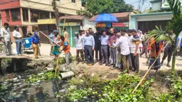 ডেঙ্গু প্রতিরোধে নারায়ণগঞ্জ সদরে পরিচ্ছন্নতা অভিযান