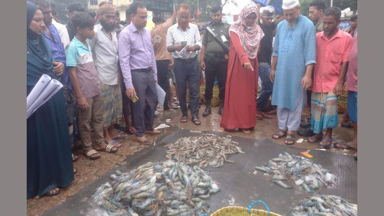 জেলি পুশকরা ৮০ কেজি  গলদা চিংড়ি জব্দ, আড়তদারকে জরিমানা