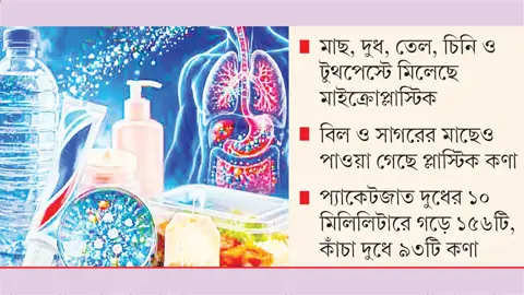 নিত্যপণ্যে মাইক্রোপ্লাস্টিকের ছড়াছড়ি, ঝুঁকিতে খাদ্যনিরাপত্তা

