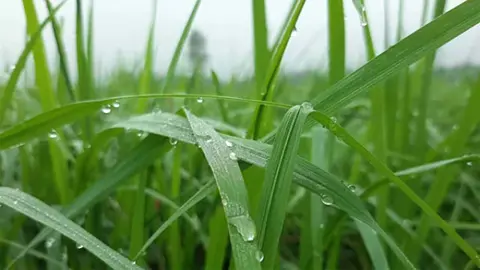 ফুলবাড়ীতে শীতের পদধ্বনি, চলছে প্রস্তুতি