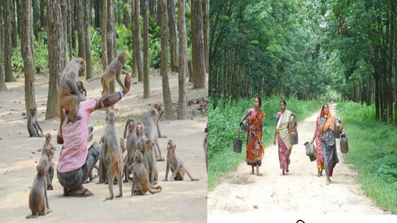 পর্যটনের অপার সম্ভাবনায় ময়মনসিংহের ফুলবাড়ীয়া