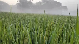 শীত আসছে, সর্বত্র চলছে প্রস্তুতি
