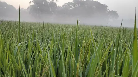শীত আসছে, সর্বত্র চলছে প্রস্তুতি