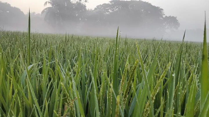 শীত আসছে, সর্বত্র চলছে প্রস্তুতি