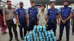 দাউদকান্দিতে ৬৪ কেজি গাঁজাসহ কাভার্ডভ্যান জব্দ, গ্রেপ্তার ১