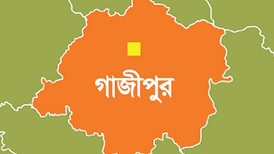 কাপাসিয়ায় ভাতিজার শাবলের আঘাতে কৃষকদল নেতা নিহত