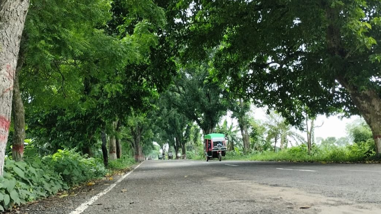 গাছ কাটতে নিতে হবে কমিটির অনুমতি