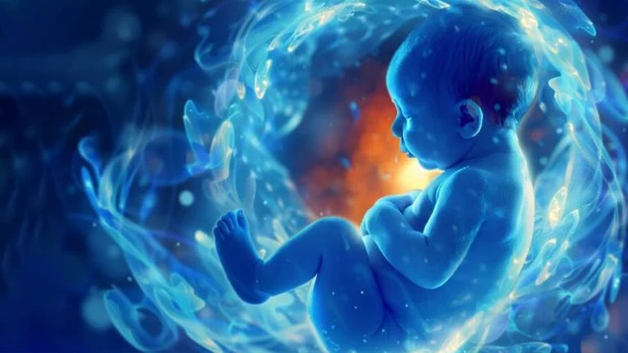 গর্ভাবস্থায় মায়ের মানসিক চাপ বাড়াচ্ছে শিশুর অটিজমের ঝুঁকি