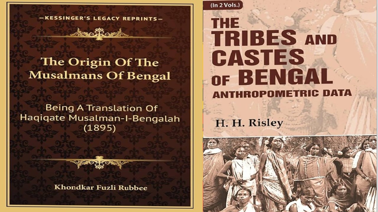 রিসলি-বেভারলির তত্ত্বের সমালোচনা