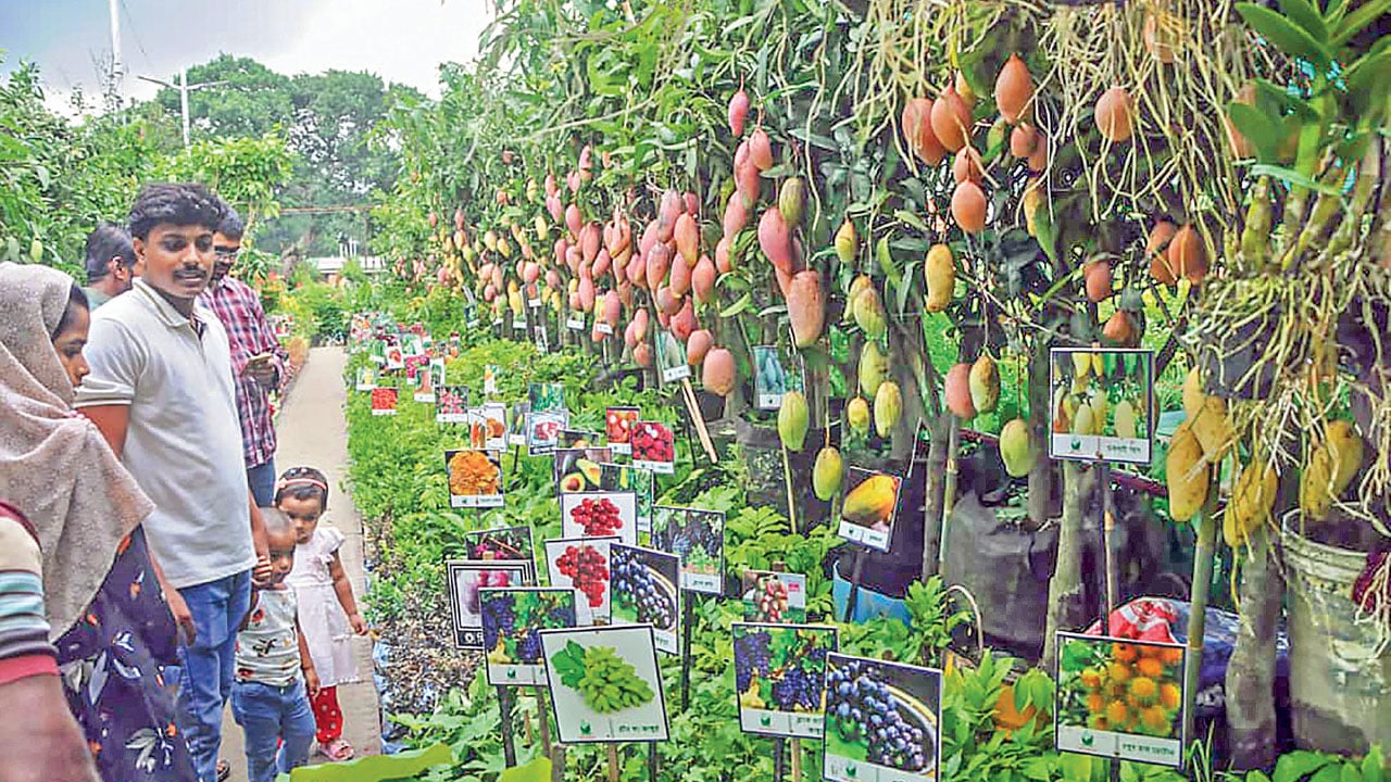 ঘরের সামনে গাছ না থাকলে ‘প্রাণের স্পন্দন অনুভূত হয় না’