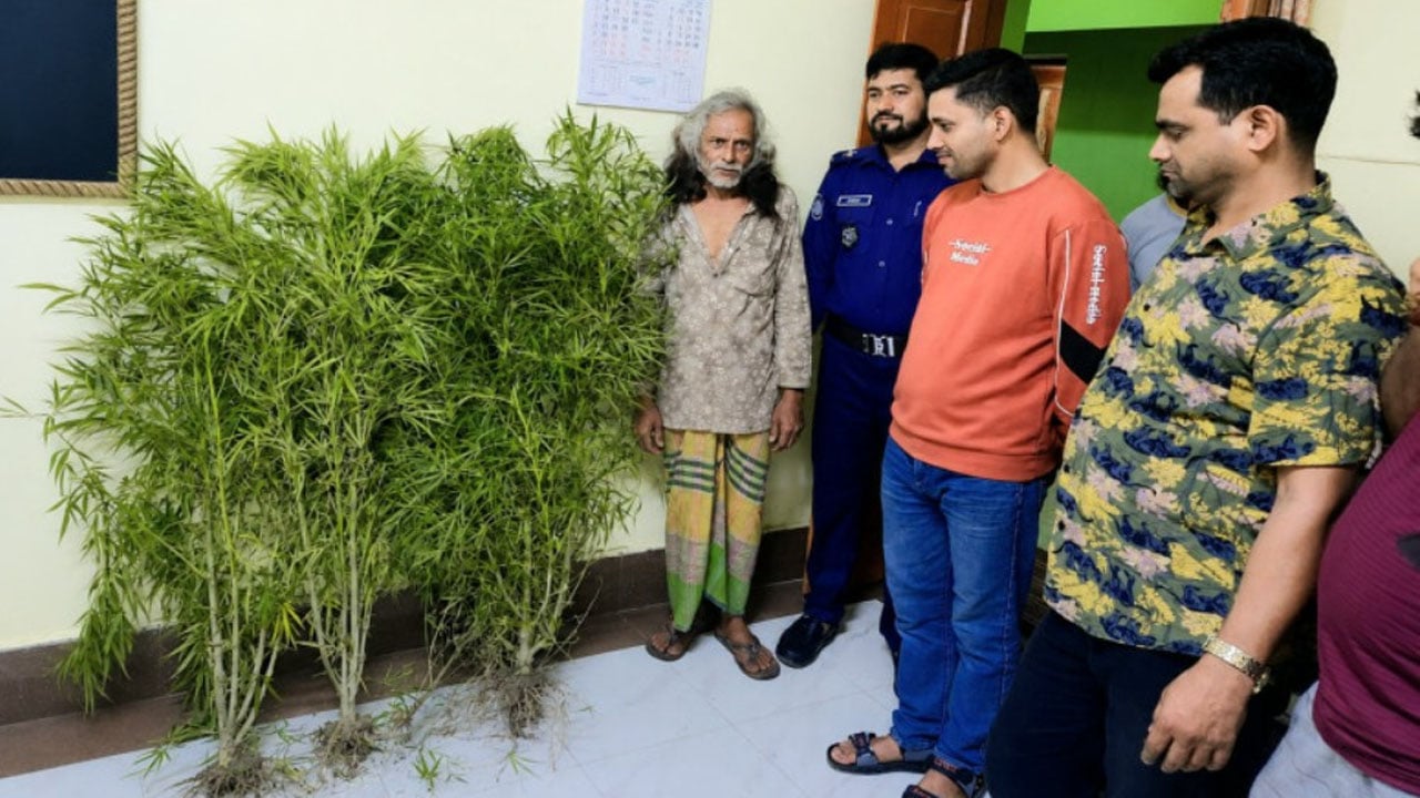 শেরপুরে মাদকবিরোধী অভিযানে গাঁজা চাষি আটক