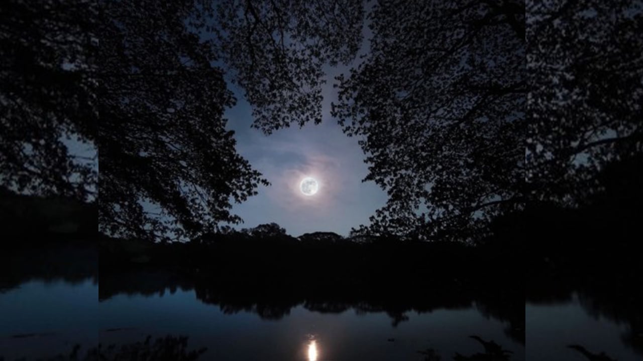জ্যোৎস্না ও নিঃসঙ্গতার কাব্য