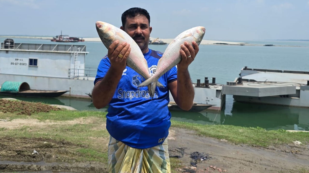 পদ্মার দুই ইলিশ ১০ হাজার ৪০০ টাকায় বিক্রি