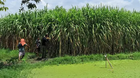 গোয়ালন্দে নারীর হাত-পা বাঁধা লাশ উদ্ধার, গ্রেপ্তার প্রধান অভিযুক্ত