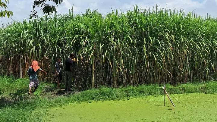 গোয়ালন্দে নারীর হাত-পা বাঁধা লাশ উদ্ধার, গ্রেপ্তার প্রধান অভিযুক্ত
