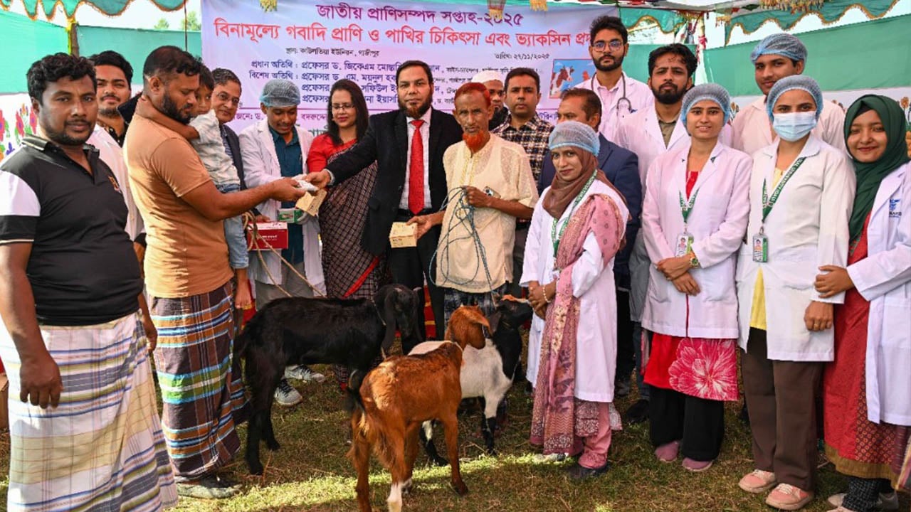 গ্রামীণ প্রাণিসম্পদ উন্নয়নে আমরা অঙ্গীকারবদ্ধ: গাকৃবি ভিসি