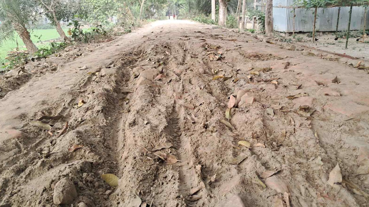 গোয়ালন্দে দেড় যুগেও সংস্কার নেই সড়কের, চরম দুর্ভোগে মানুষ