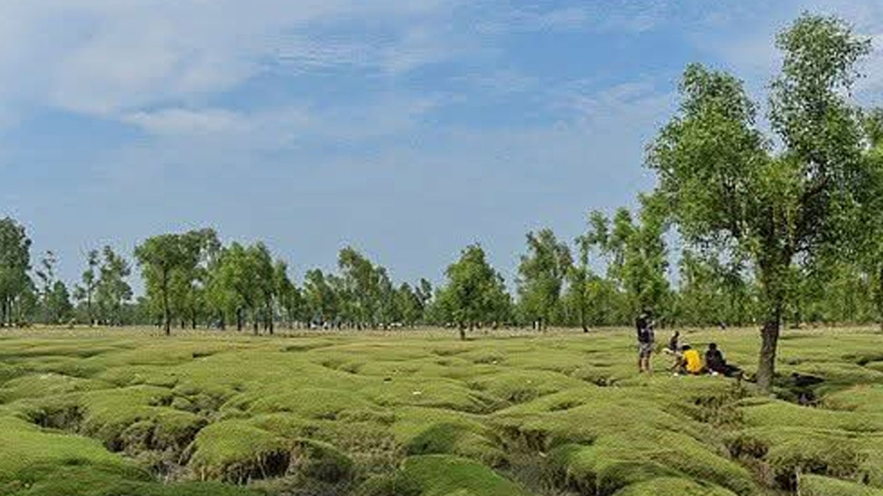 গুলিয়াখালী সৈকতে পর্যটকদের ওপর হামলা, ৫ জনের বিরুদ্ধে মামলা