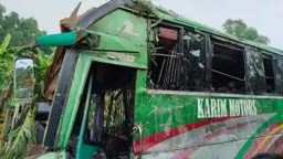 গোপালগঞ্জে যাত্রীবাহী বাস খাদে, নিহত ৩