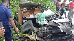 গোপালগঞ্জে বাসের ধাক্কায় প্রাইভেট কারের দুই যাত্রী নিহত, আহত ২০