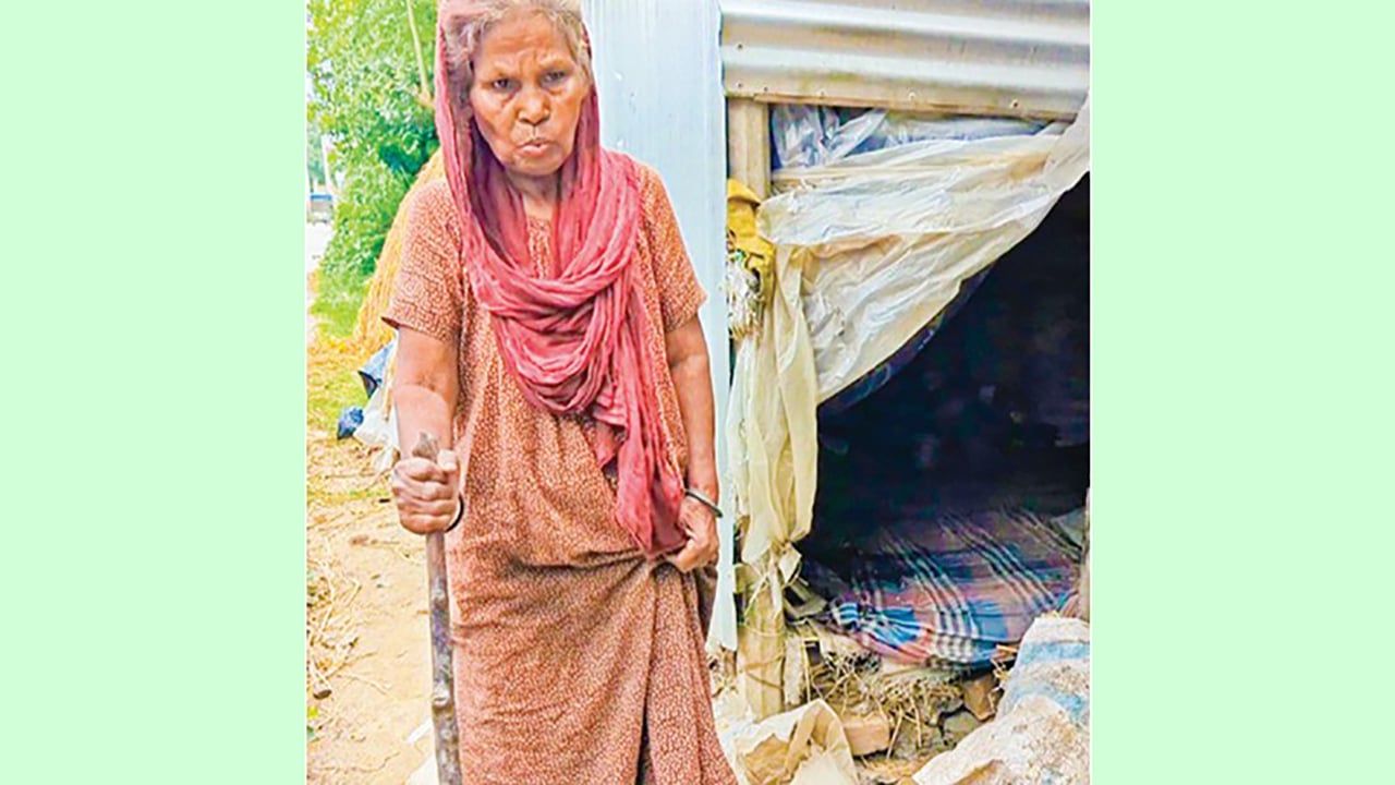 রোগের যন্ত্রণা, ক্ষুধার কষ্টে অসহনীয় জীবন