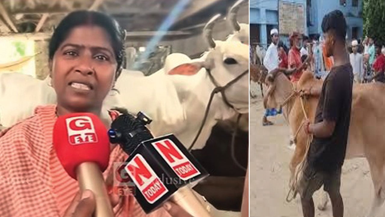গরু কোরবানিতে নিষেধাজ্ঞায় চরম বিপাকে হিন্দু ব্যবসায়ীরা