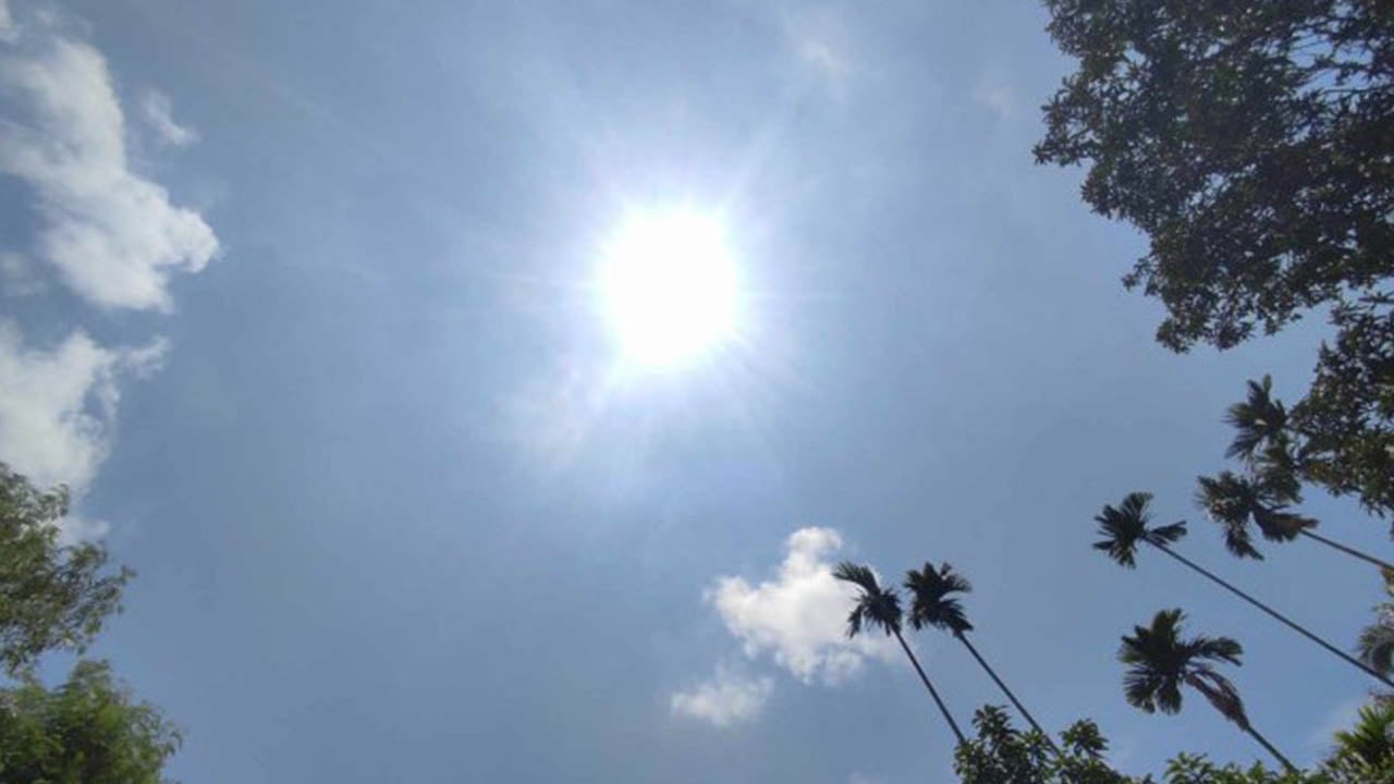 মার্চের শুরু থেকে বাড়বে গরম